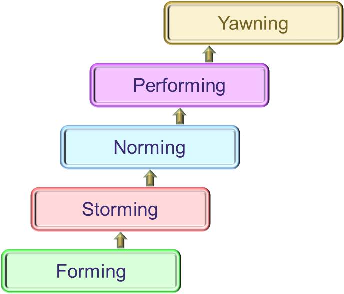 Tuckman Model of Group Formation - extended to include Yawning phase