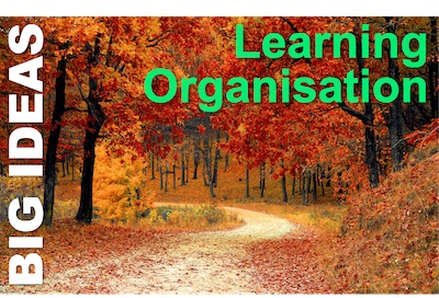 Learning Organisation